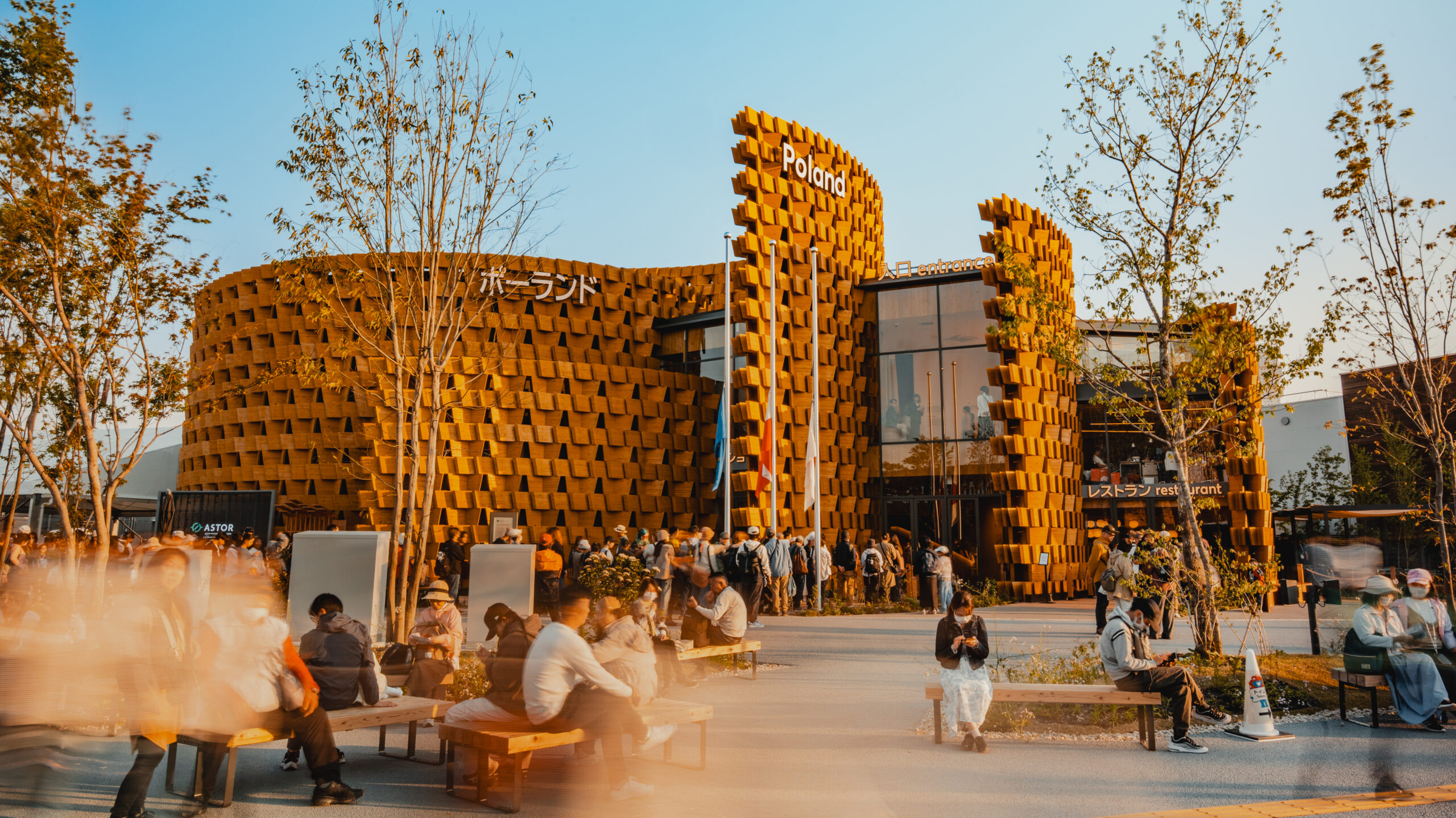 PAIH Pawilon 02838 1 scaled